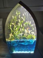 Prinzessin Mononoke Diorama Lampe mit Kodama