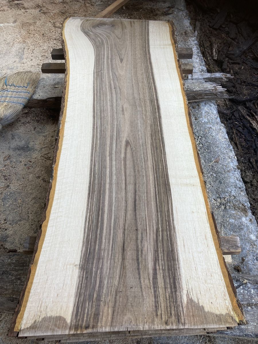 Articoli in legno: Europäischer Nussbaum – Nuovo (secondo la descrizione) da Schneisingen venduto da LehKi95