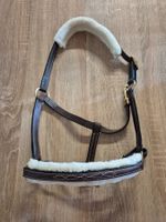 Leder Halfter Cob
