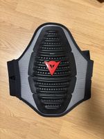 Dainese Rückenpanzer