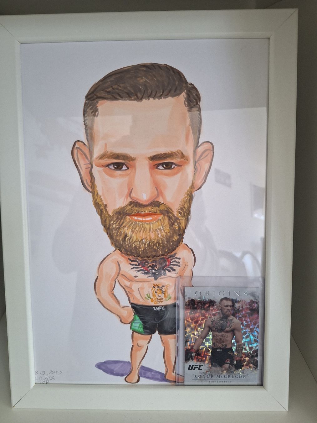 Cartes à collectionner: Conor McGregor Bild mit Sammelkarte – D'occasion à Stansstad par saschaz88