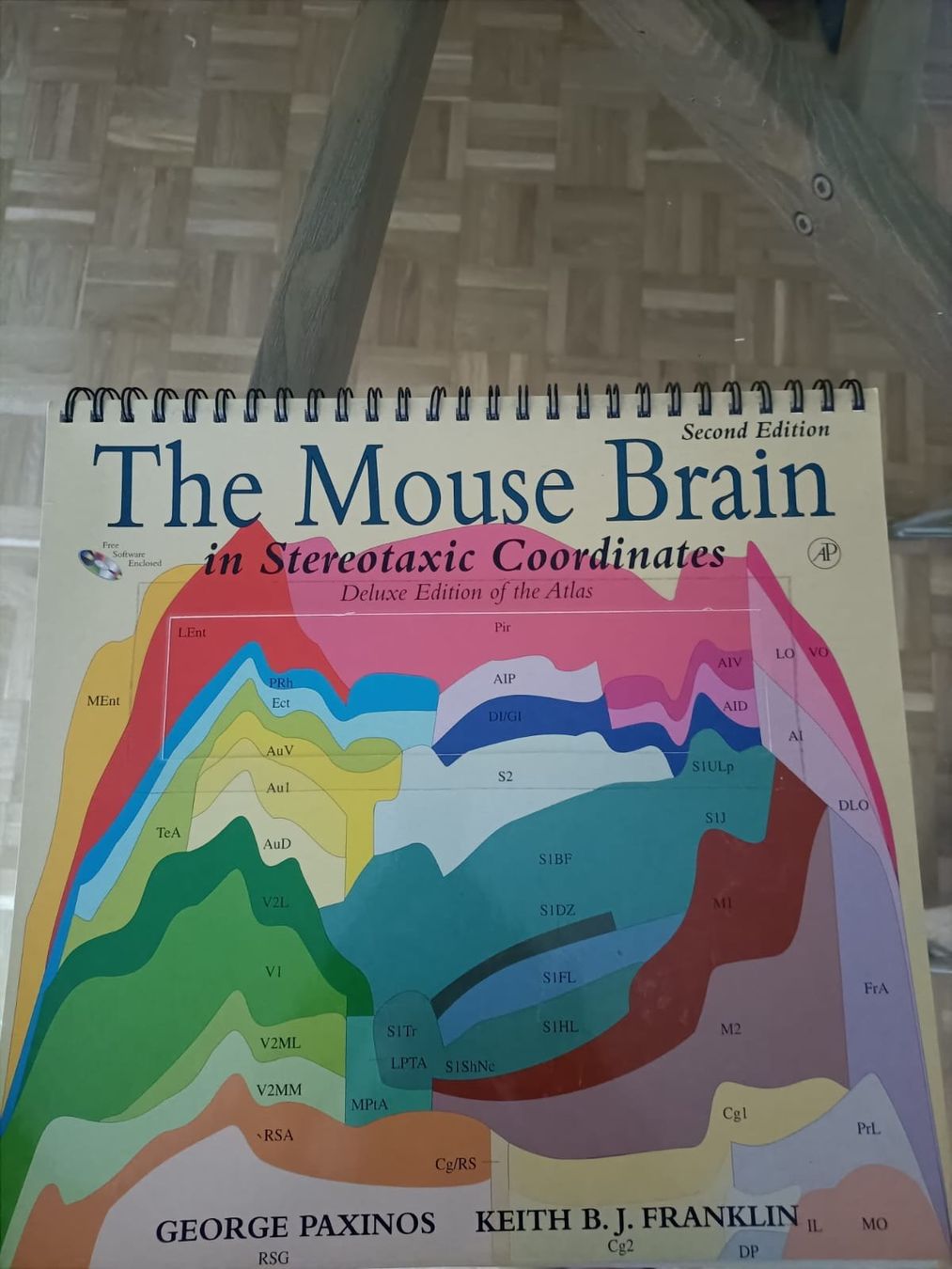 Libri: the mouse brain in stereotaxic coordinates second edition – Usato da Basel venduto da lor_6tbm