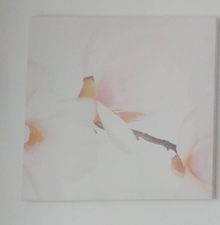 Poster & Bilder: 3-teiliges Bilderset rosa Orchidee – Gebraucht aus Münchenstein von Alicia_Michelle 3