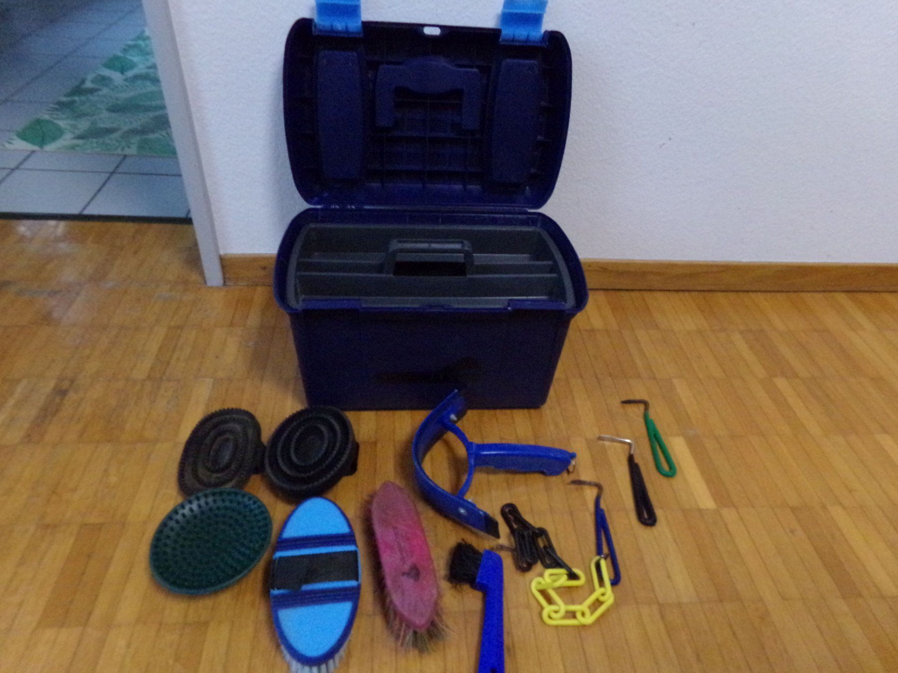 Prodotti per la cura & articoli per la pulizia: Reitbox blau mit Putzzeugs – Usato da Winterthur venduto da Jessi_di 1