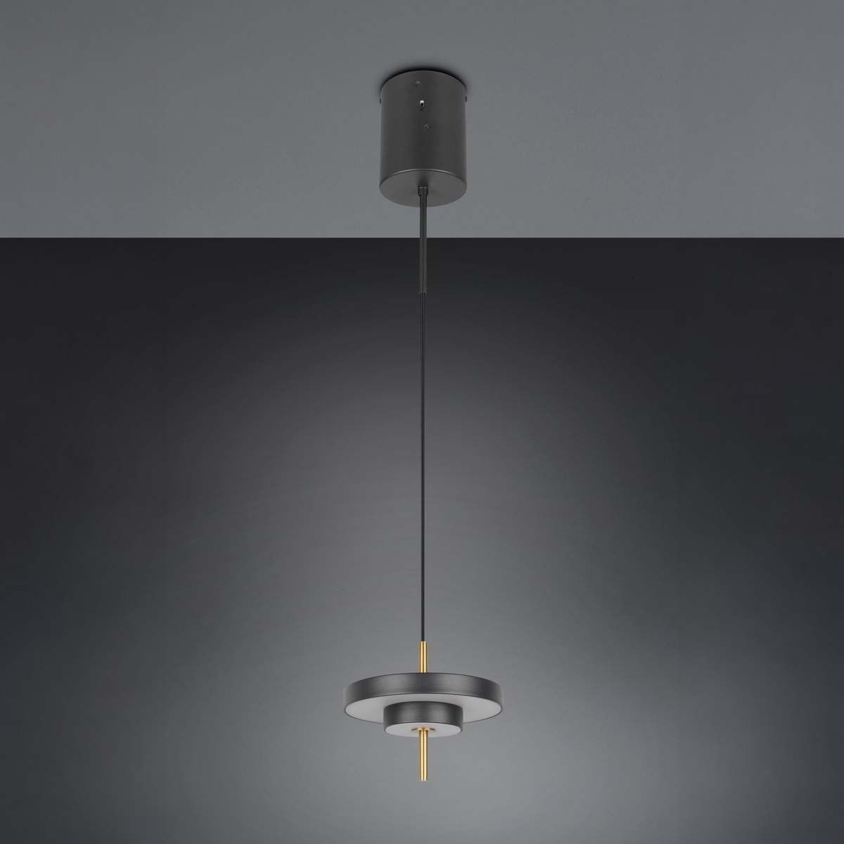 Lampadari & plafoniere: LED Pendelleuchte, Schwarz, CCT, 20 cm Ø – Nuovo (secondo la descrizione) da Kreuzlingen venduto da Smart-Light 2