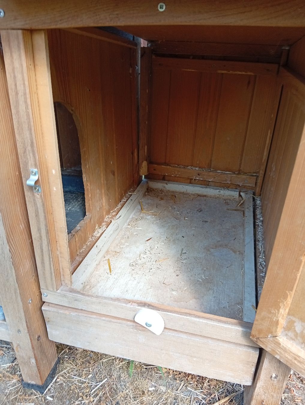 Gabbie, trasporto & Sicurezza: Hasenstall – Usato da Ammerswil AG venduto da Abarm 1