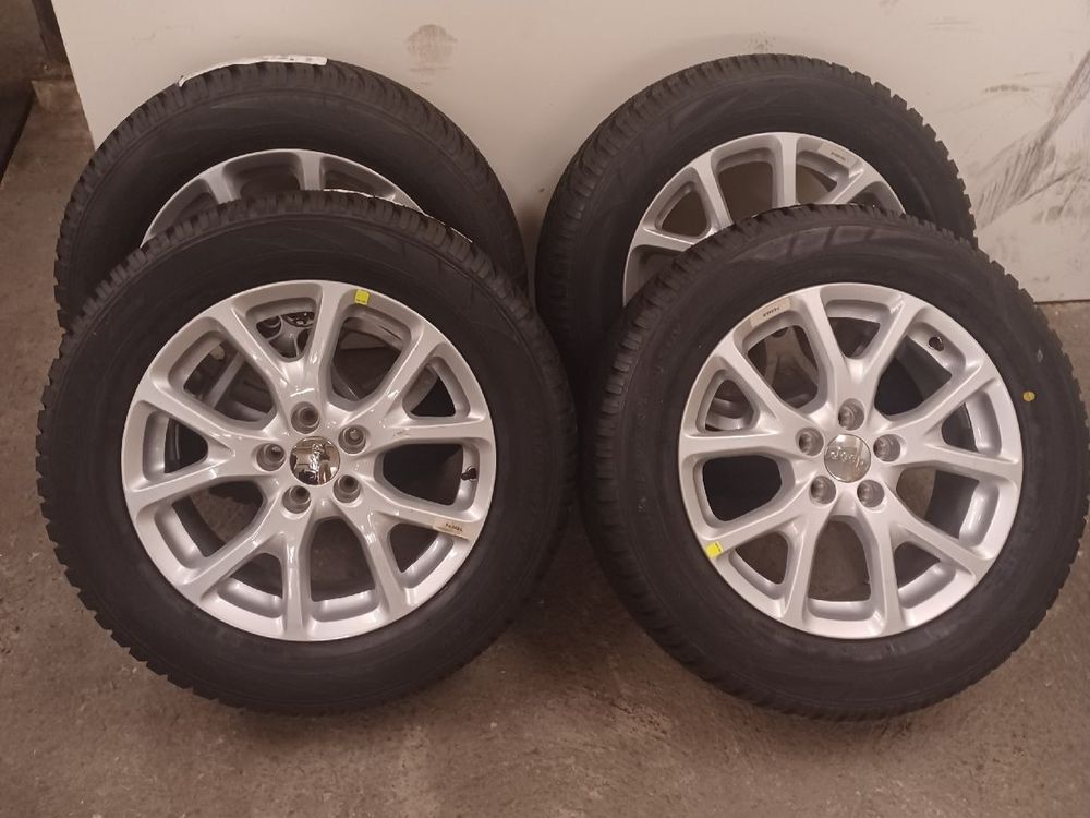 Winterrader 225 60 R17
