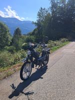 Pony 503 GTX KAT