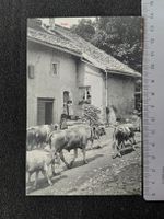 Alte Postkarte Nods mit Kühen u. Haus Ort unbekannt