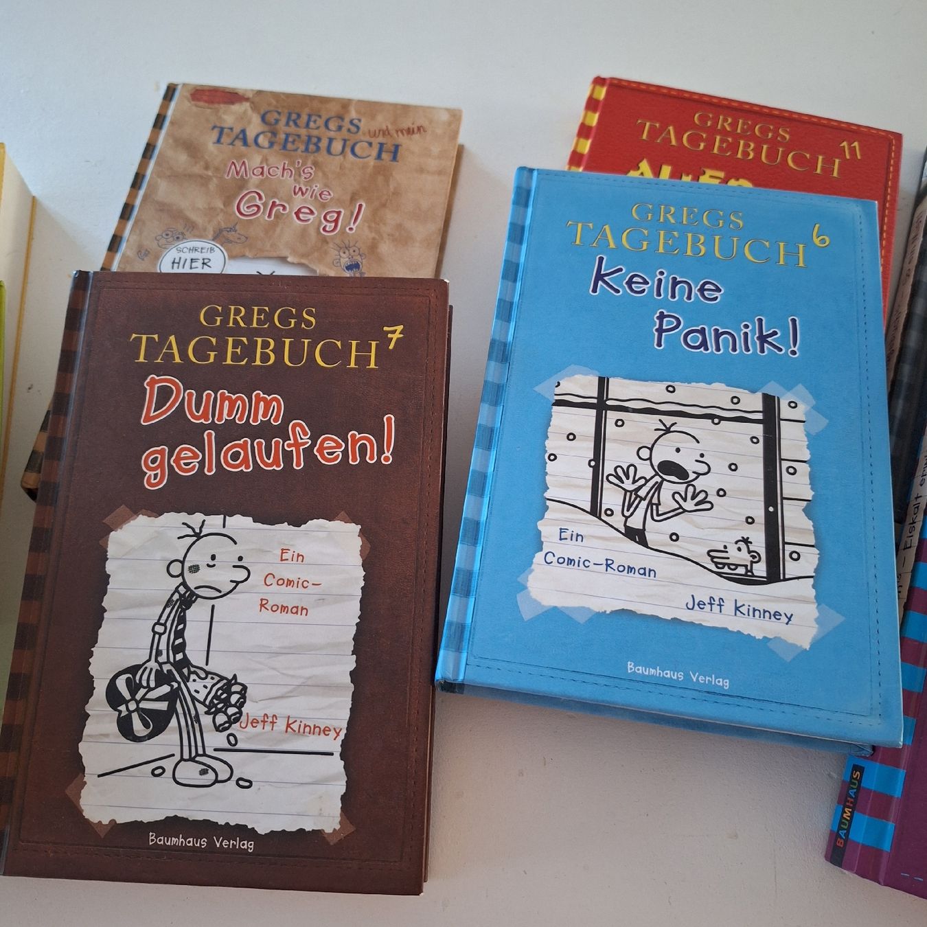 Libri: Gregor Tagebücher 9 Bände & 1 CD – Usato da Lupsingen venduto da Brandy141170 2
