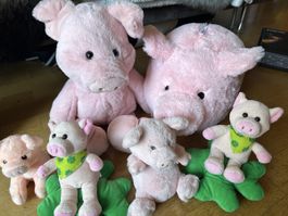 Glücks Schwein Set 6 tlg !!!