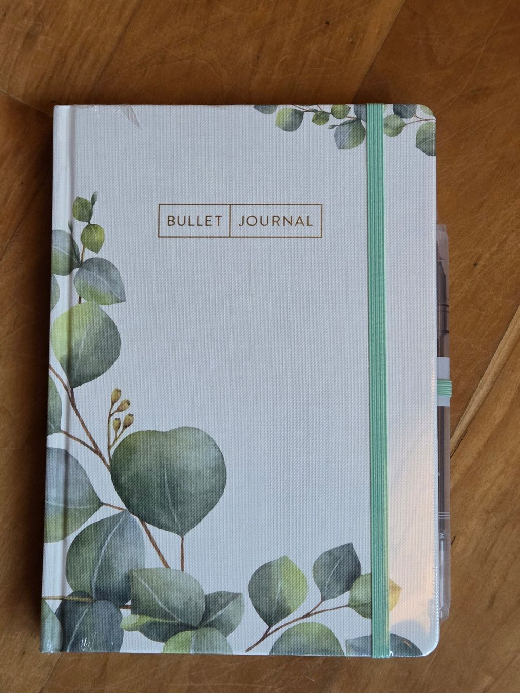 Libri: Bullet / Journal mit Eukalyptus Design – Nuovo e nell'imballaggio originale da St. Gallen venduto da Razoon77