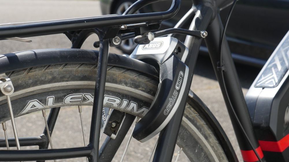 Flyer Biciclette: Flyer Vollblut 250 SE - Occasion – Usato da Beinwil (Freiamt) venduto da ser15 3