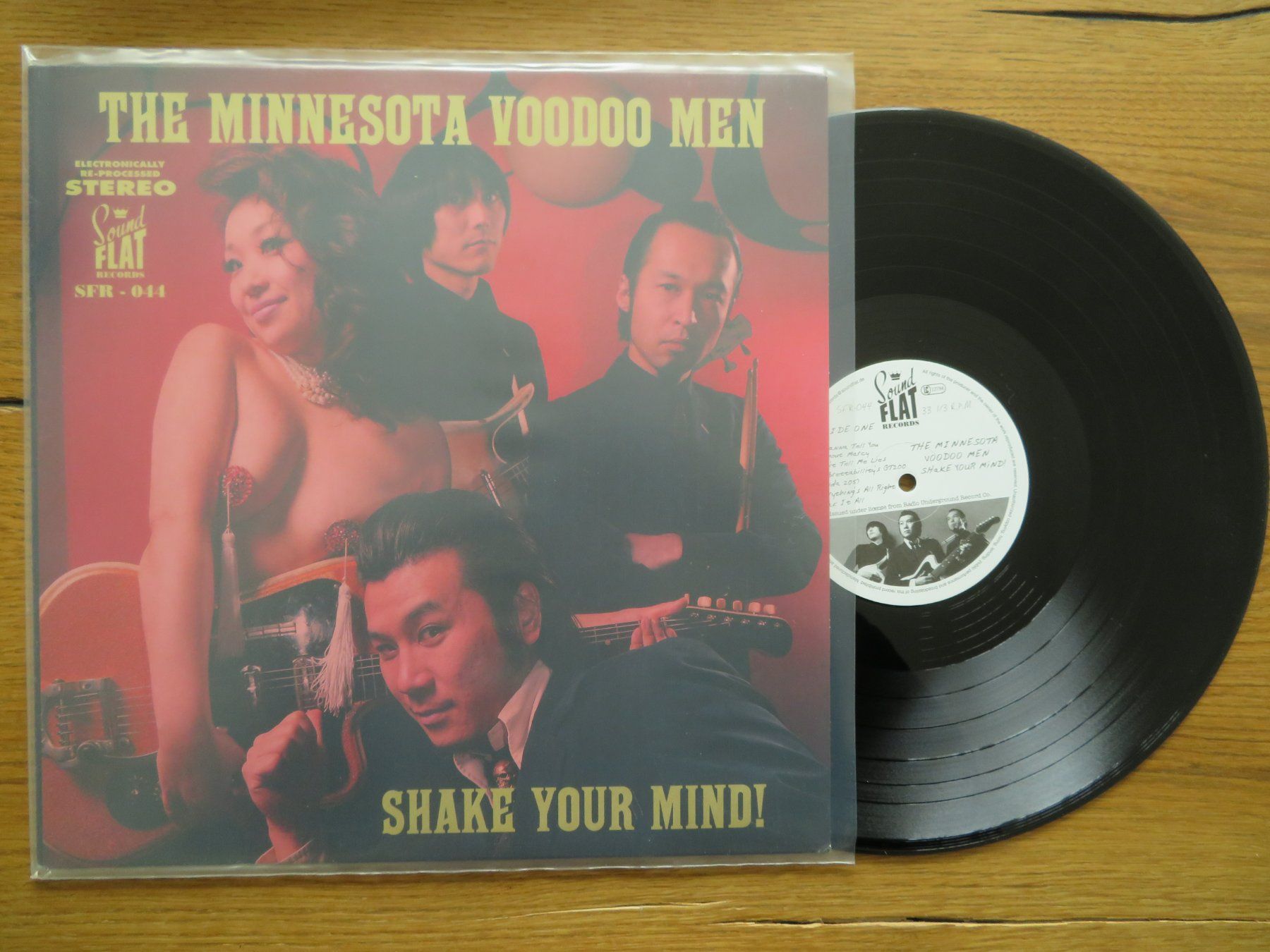 Dischi in vinile: THE MINNESOTA VOODOO MEN LP NEU SHAKE YOUR MIND – Nuovo (secondo la descrizione) da Zürich venduto da max_cp5f