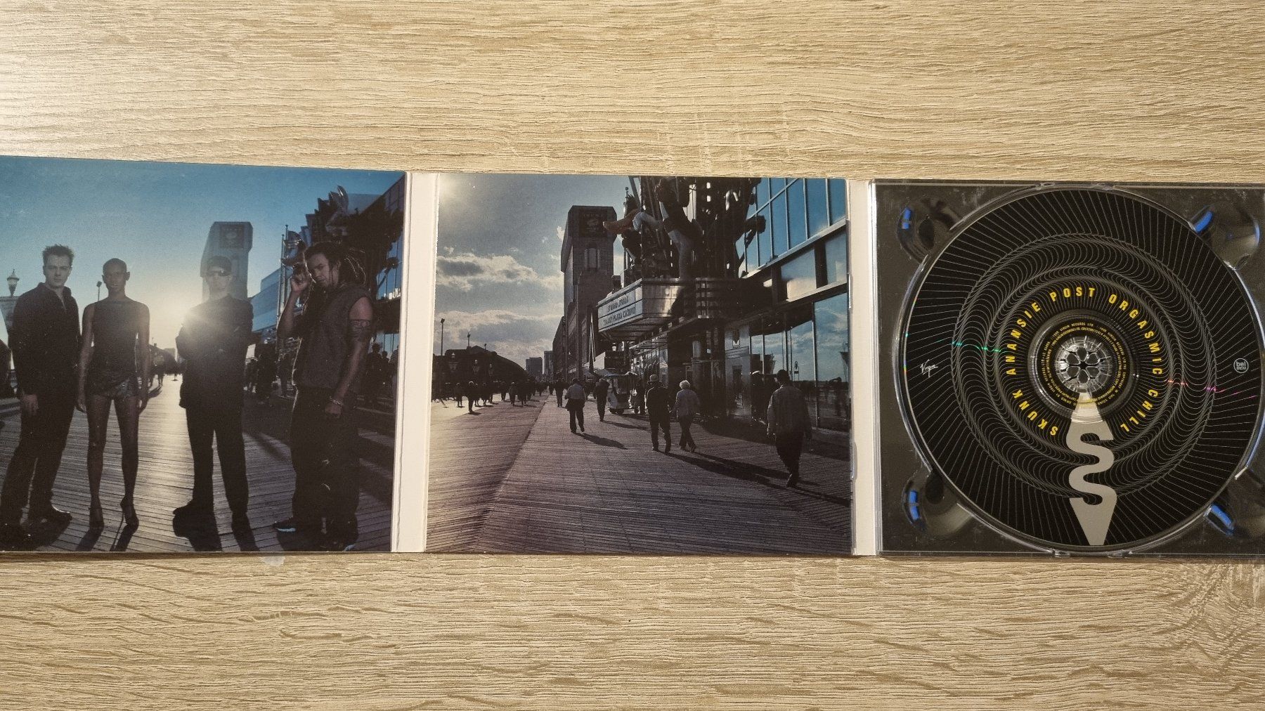 CD: Skunk Anansie - Post Orgasmic Chill – Usato da Hagenbuch ZH venduto da lecterr55 1