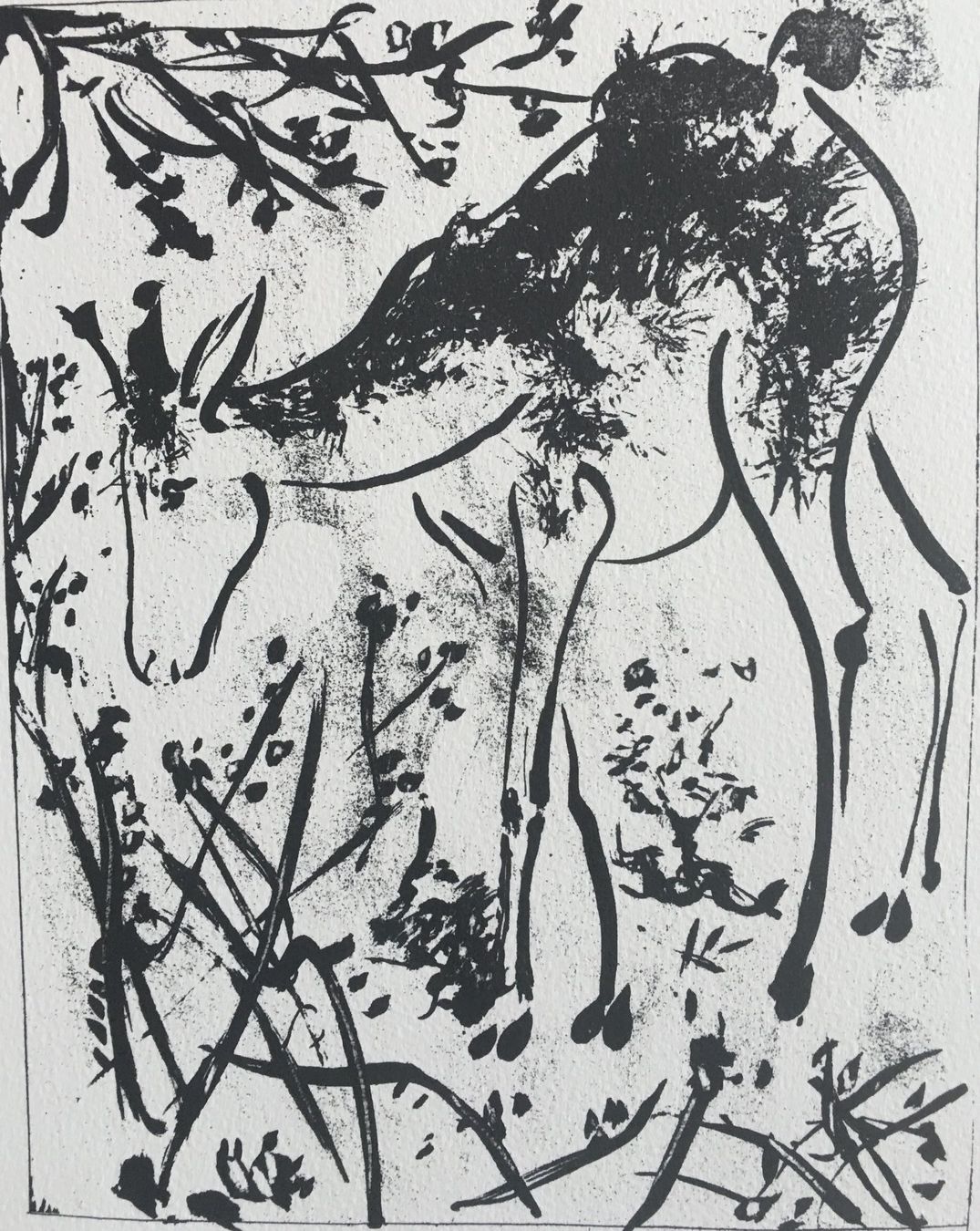 Grafiken & Lithographien: Pablo Picasso   Buffon  "Le Cerf" – Gebraucht aus Nennigkofen von Sommersonnen 4