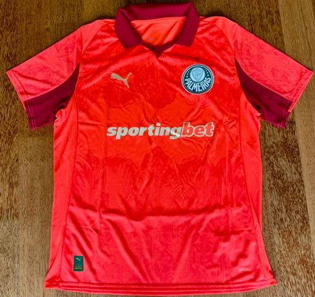 Palmeiras Goalie Shirt - Saison 2025 - Version KidSuper