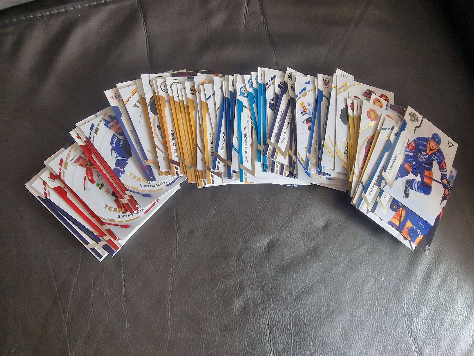 Série 2 Sportzoo 96 cartes de base et Team Power diverses | Kaufen auf ...