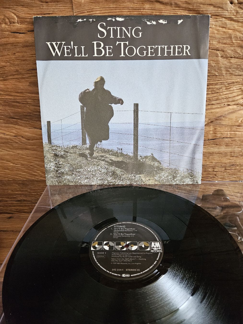 Dischi in vinile: Vinyl Schallplatte Sting - We'll Be Together – Usato da Bertschikon Gossau venduto da simla09