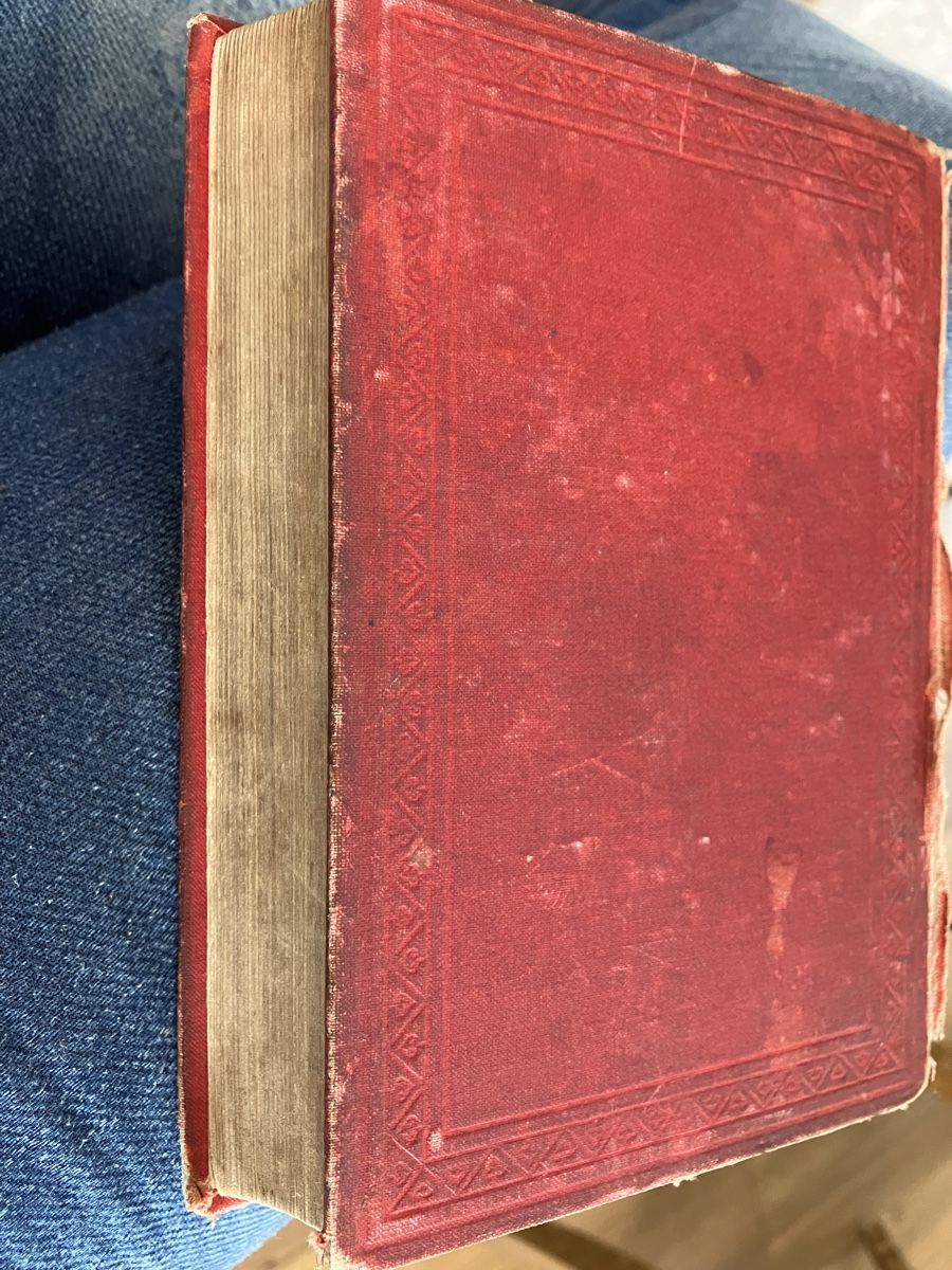 Bücher: Antikes Buch Ekkehard 1855/1896 – Gebraucht aus Willisau von son_lq7g 2