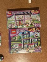 LEGO Friends Sets 41095 und 41318