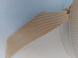 Band mit Streifen Braun Weiss neu auf Rolle 80m 2,8mm Breit