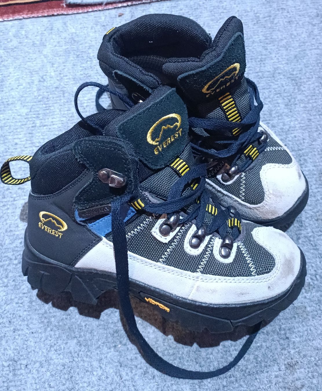 Everest Chaussures garçon: Wanderschuhe Everest Kinder Grösse 30 gebraucht – D'occasion à Rebstein par bet_22rg