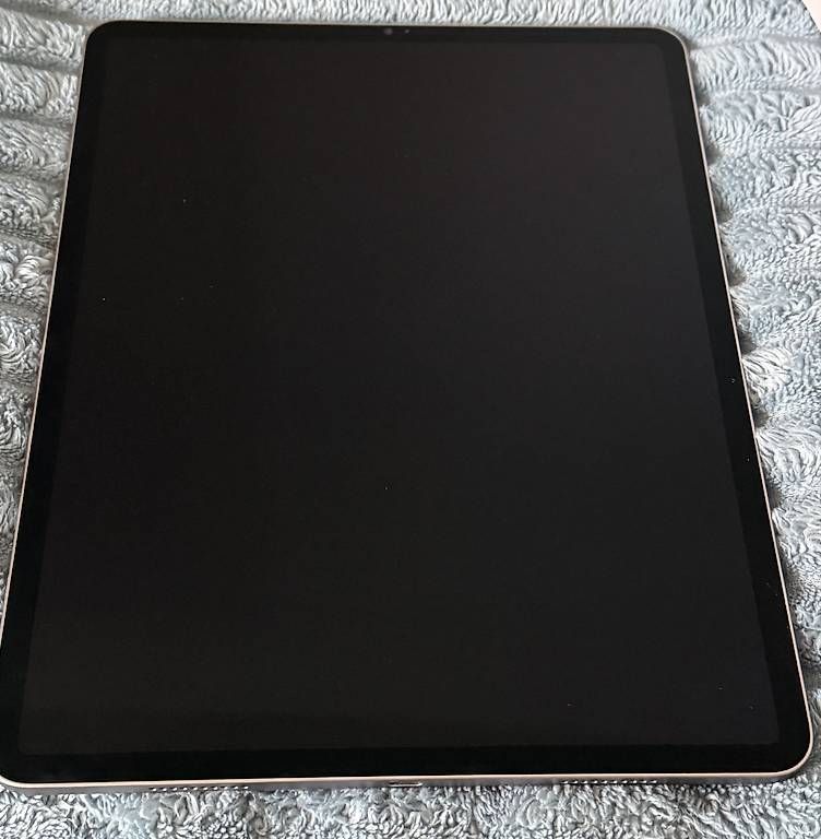 Tablet PC: iPad Pro 12.9 (6th Generation)256GB – Usato da rheinfelden venduto da ant_w9dw 1