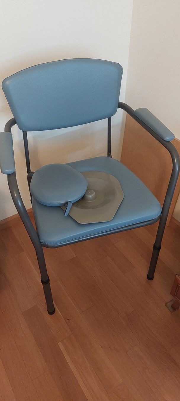 Stühle: Toilettenstuhl Invacare – Gebraucht aus Muttenz von stahelv