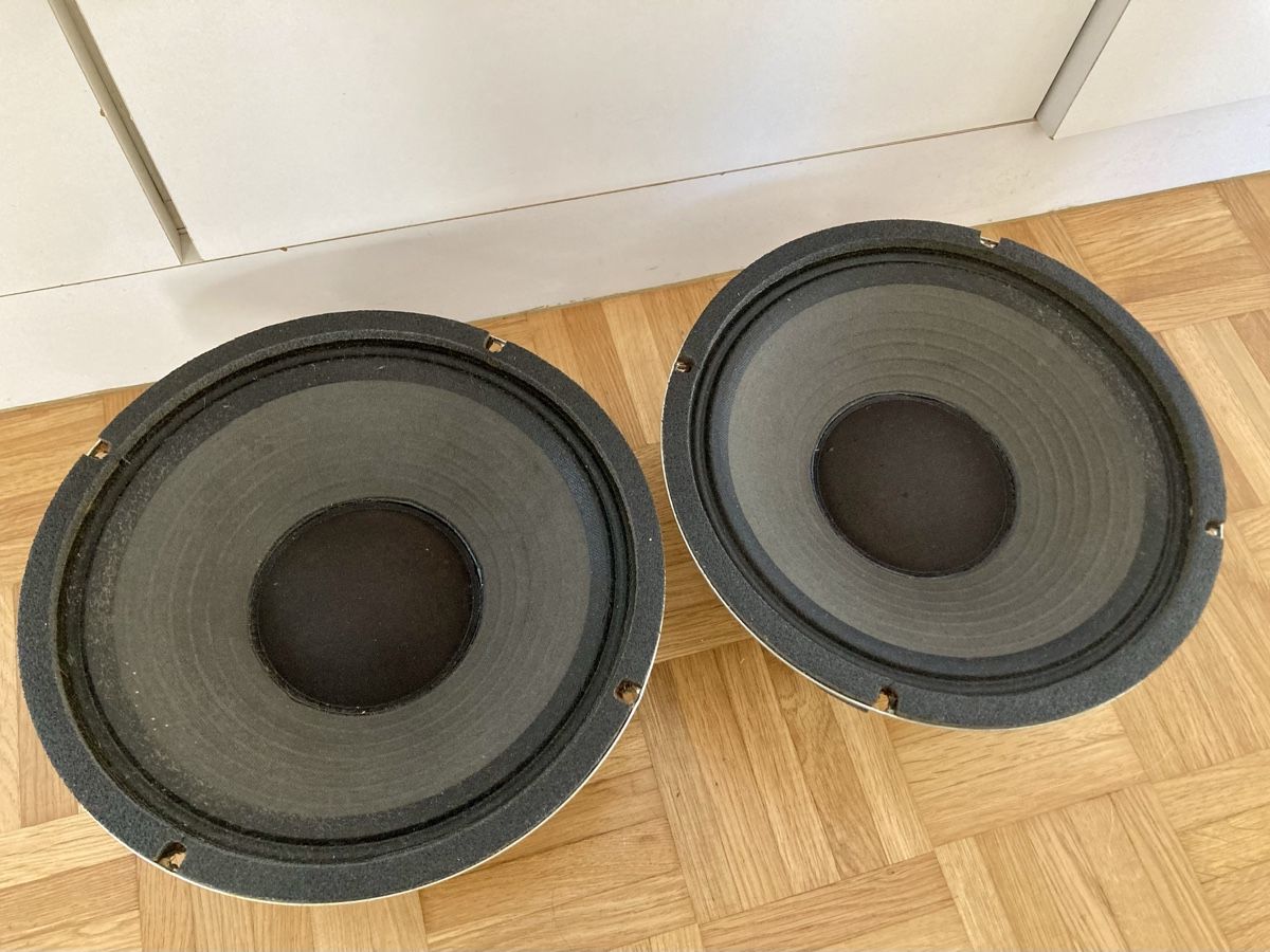Amplificatori: 2x Celestion G10S-50 Speaker (1987) – Usato da Glattfelden venduto da Pedals 3