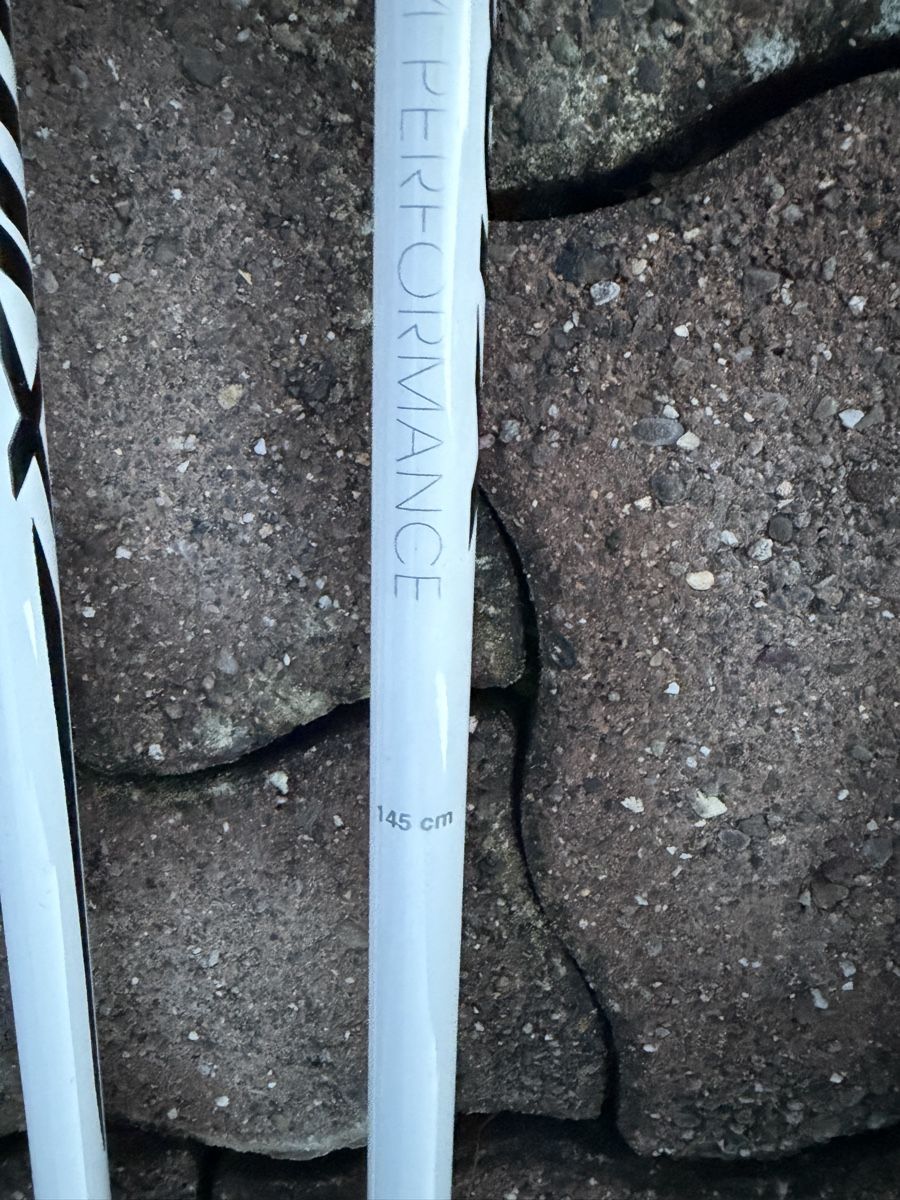 Fischer Sci: Fischer Langlaufski – Usato da Wangen SZ venduto da ca018 7
