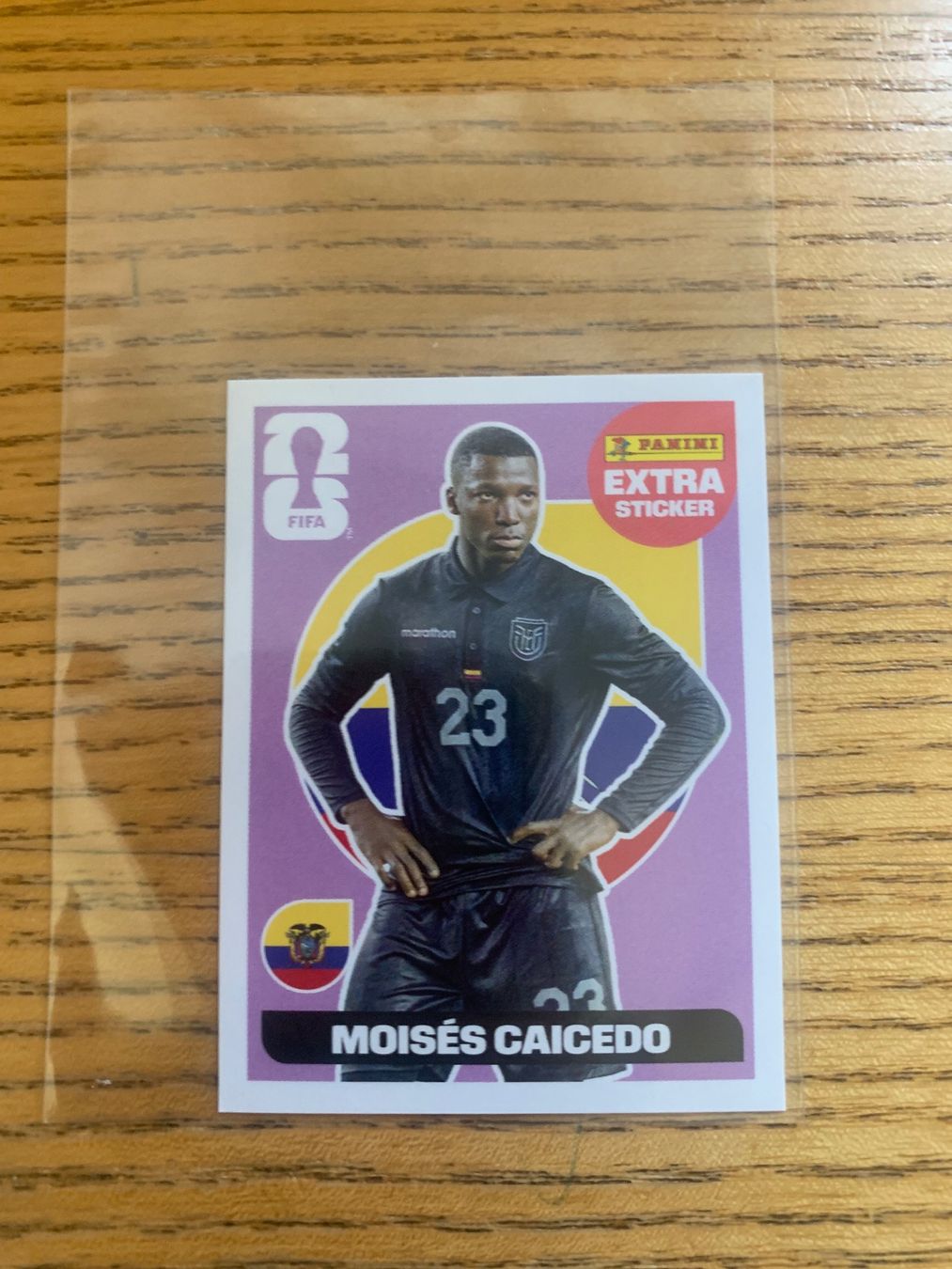 Panini Cartes à collectionner: Panini  Extra Sticker Moisés Caicedo Pink – D'occasion à Zürich par Kasza 1