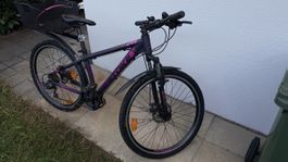 Trekking Bike