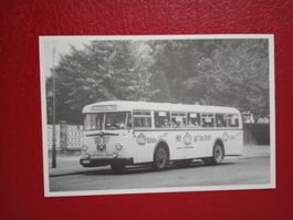 Autobus Stadtwerke Lübeck Büssing Typ TU 11