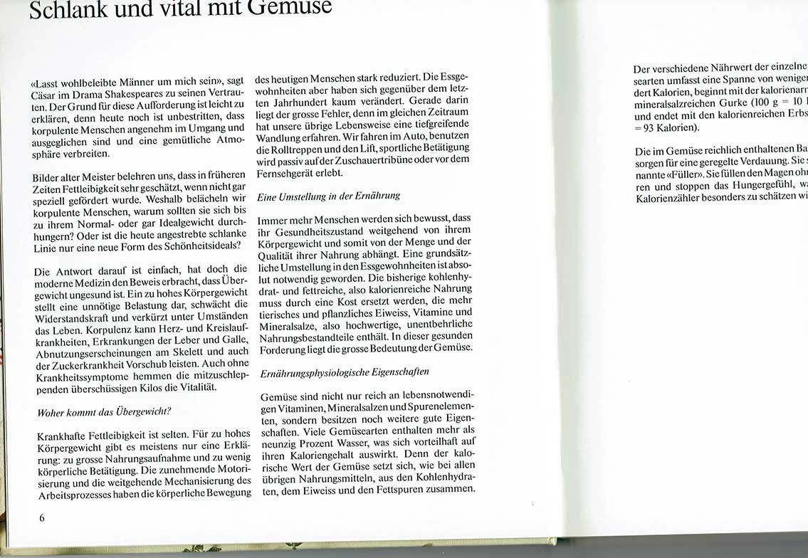 Libri: Silva- Gemüsekochbuch - Irma Ruche / Raymonde Chapuis – Usato da Thun venduto da abratrix 1