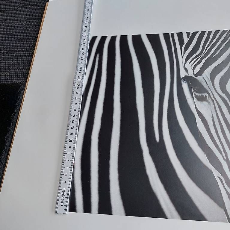 Posters & Illustrations: 3 Bilder – D'occasion à Bellikon par Anithom