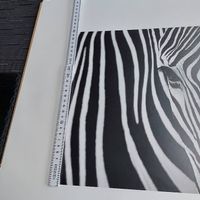 3 Bilder