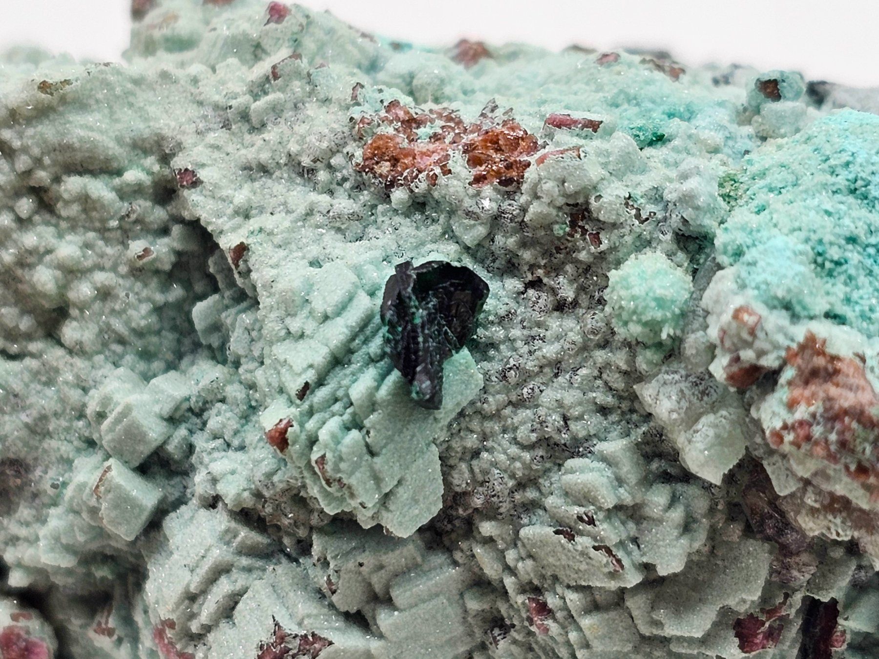 Minerali & Pietre curative: RaRe Euchroite on Chrysocolla, Mürtschenalp, Glarus – Usato da Figino venduto da minshop 4
