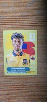 Fifa World Cup Panini ECU 19