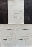 3 Aktienzertifikate Swissinvest.com AG (NONVALEUR)