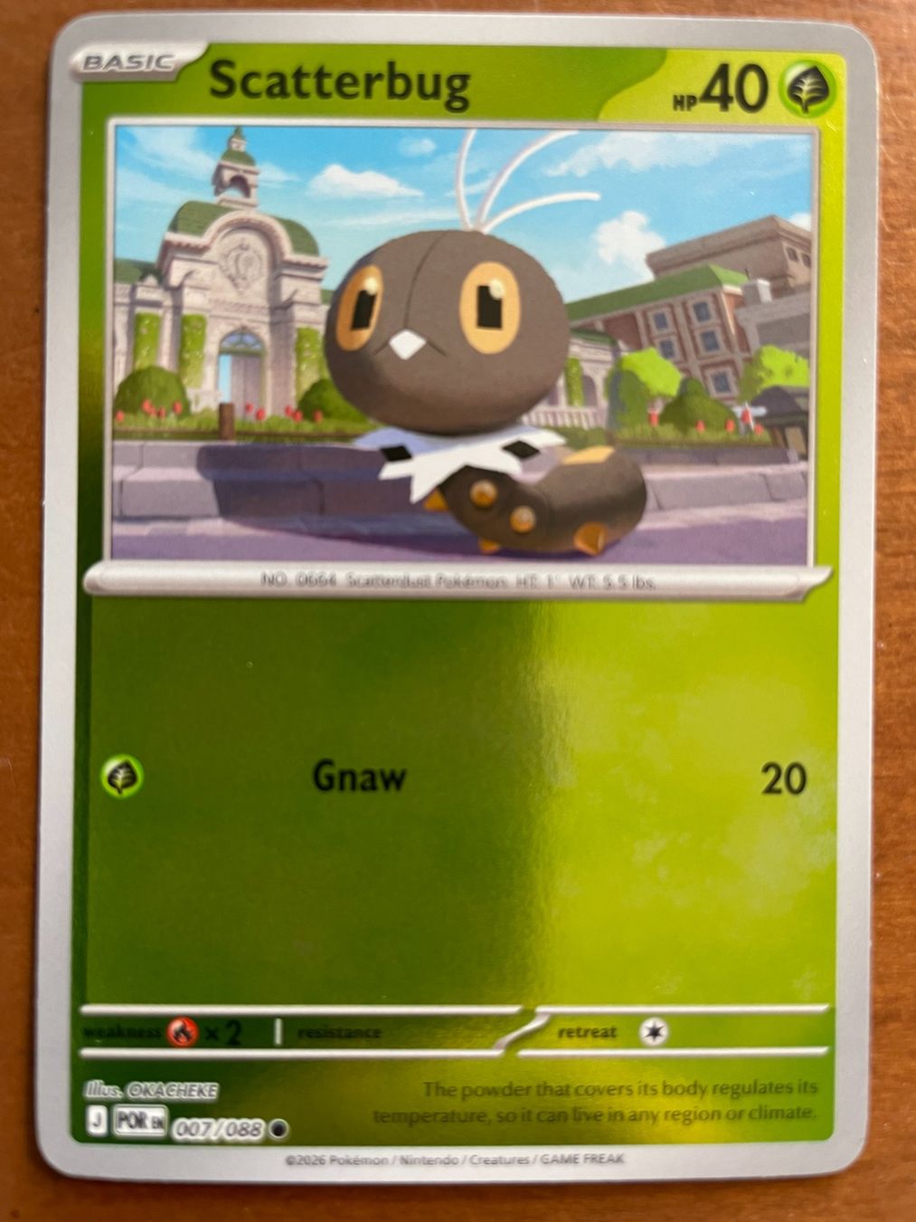 Pokémon Carte collezionabili: Pokemon Scatterbug Reverse (Versand gratis) – Nuovo (secondo la descrizione) da Chur venduto da Angerson