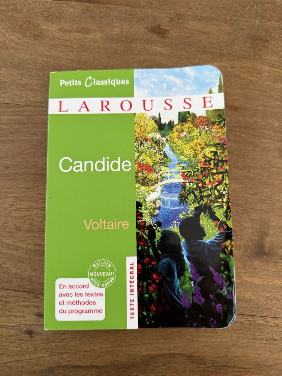 Libri: Candide - Voltaire – Usato da Moutier venduto da Sparrow2002