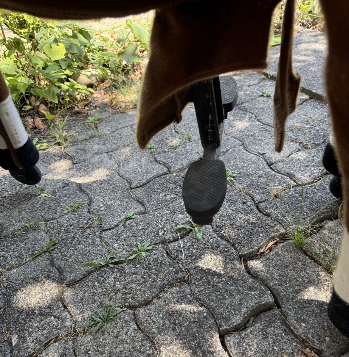 Giocattoli: Reitpferd auf Rollen – Usato da Ostermundigen venduto da Indy2005 3