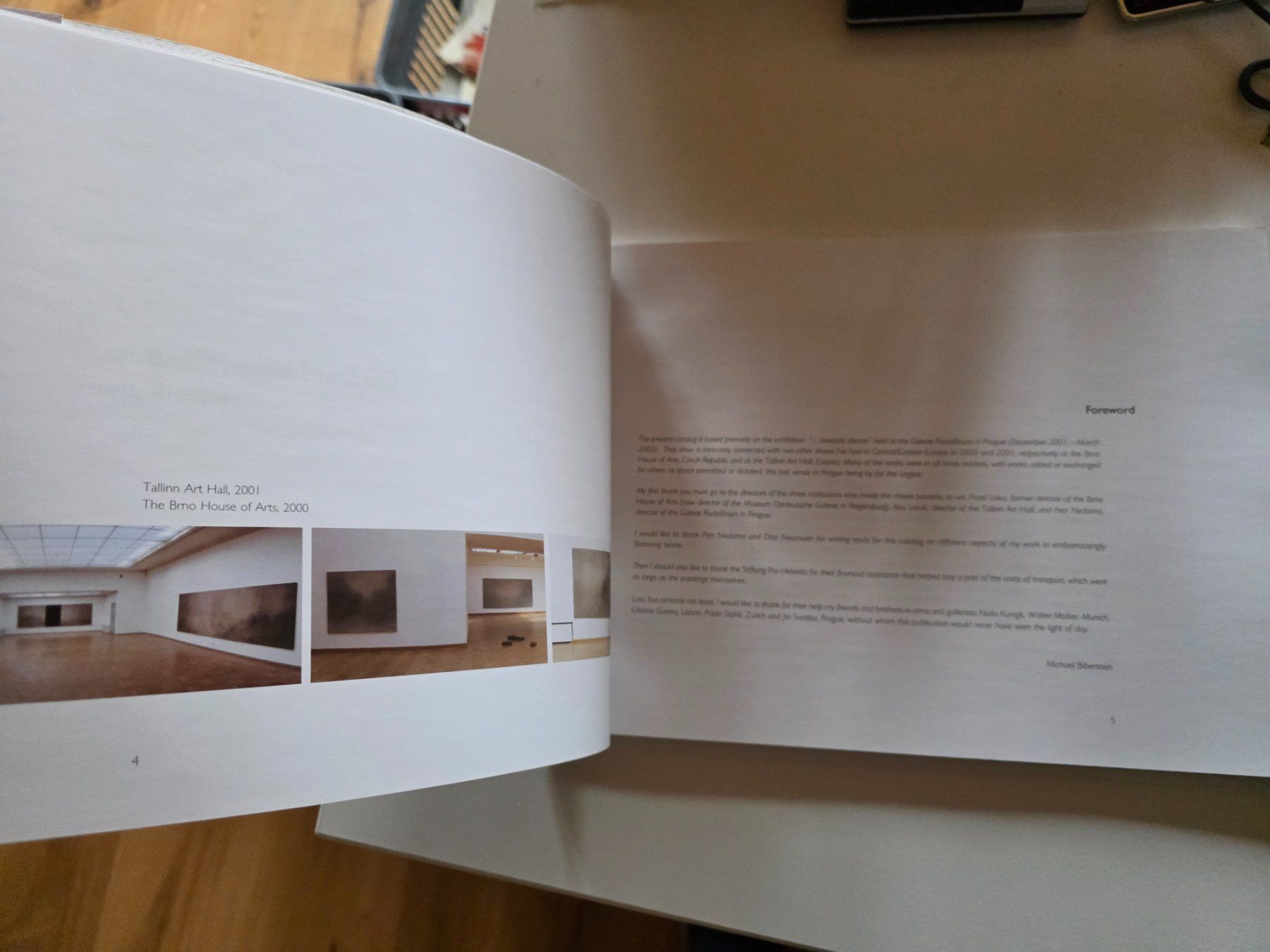 Libri: Kunst Katalog: Michael Biberstein ... towards silence  2002 – Usato da Walterswil BE venduto da Lonitti 1