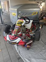 Rennkart Rotax 