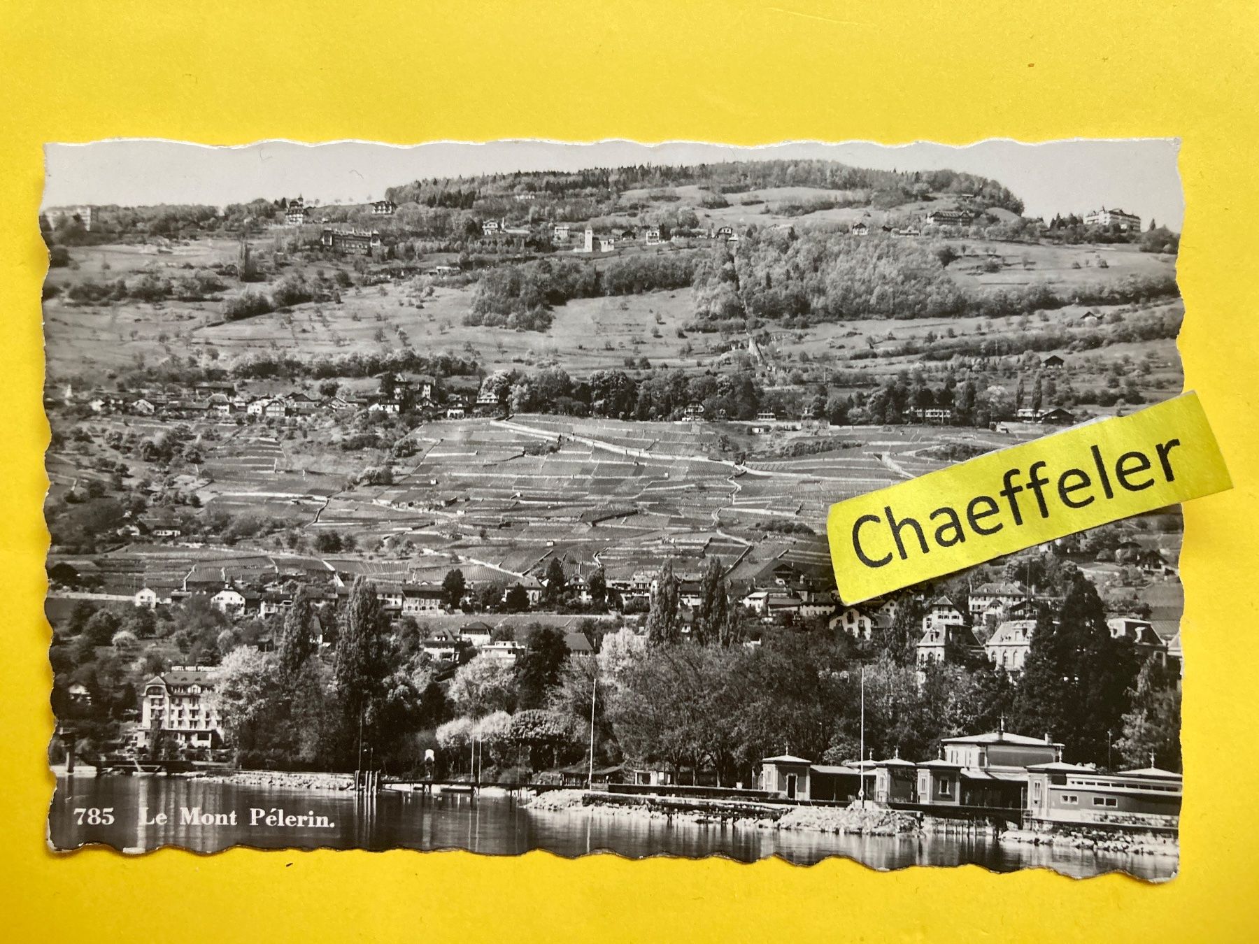 Ansichtskarten: 785 Le Mont Pélerin. – Gebraucht aus Zürich von Chaeffeler