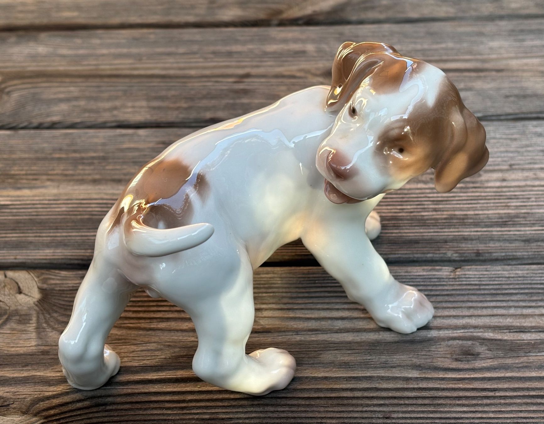 Bing & Grøndahl Statuette: Porzellanfigur Pointer Welpe Bing & Gröndahl – Usato da Lüchingen venduto da Eeizo