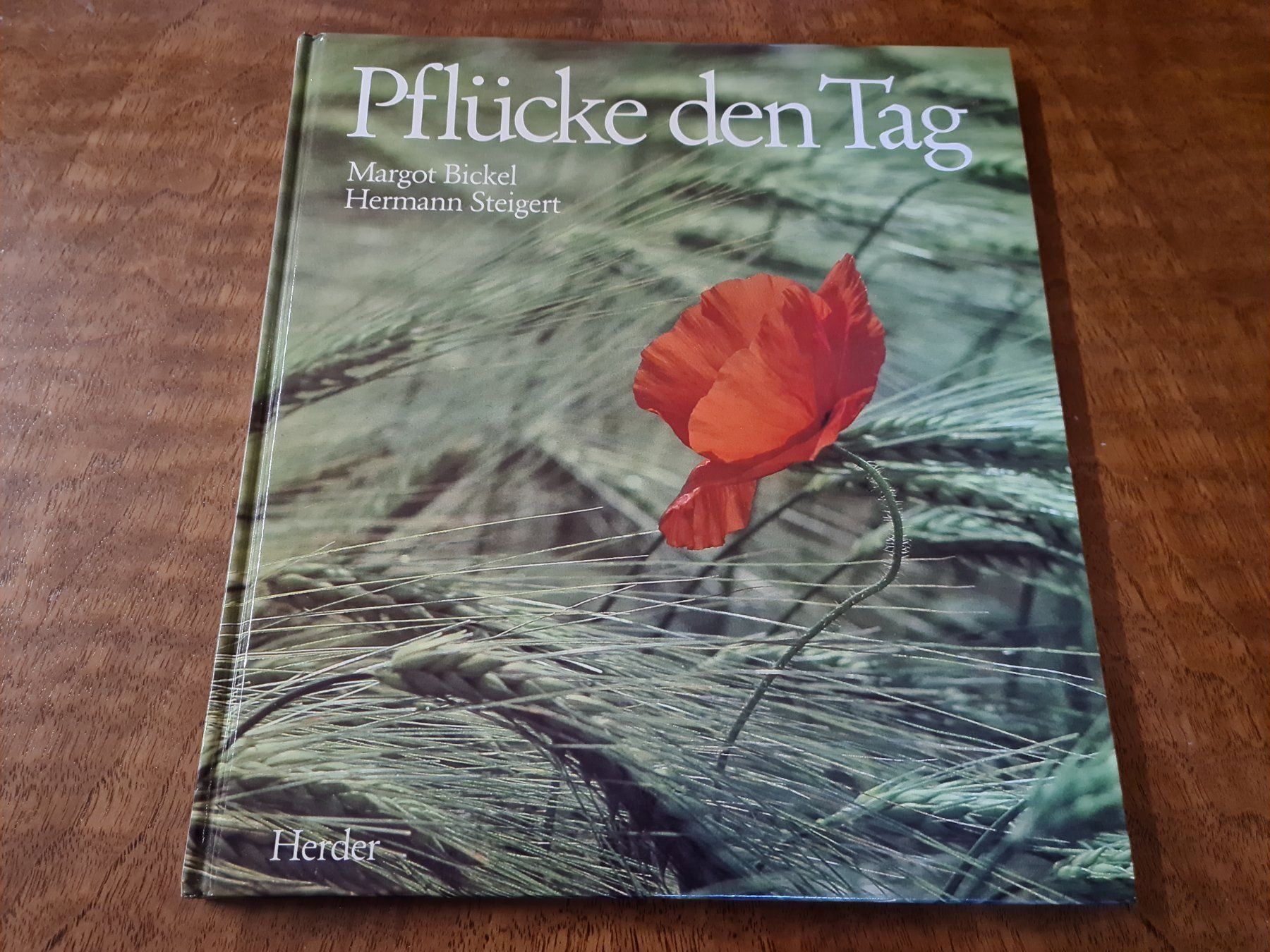 Libri: Pflücke den Tag – Usato da Erstfeld venduto da Mario_boe0