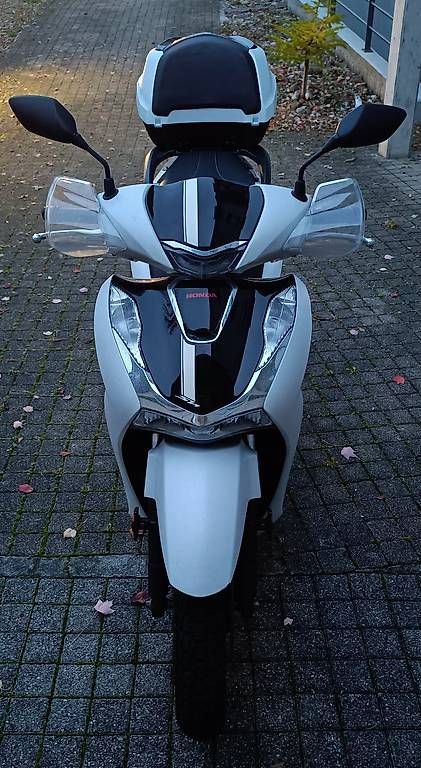 Honda Scooters: Roller Honda SH 125 + – Gebraucht aus Roggwil TG von Philippe1992 2