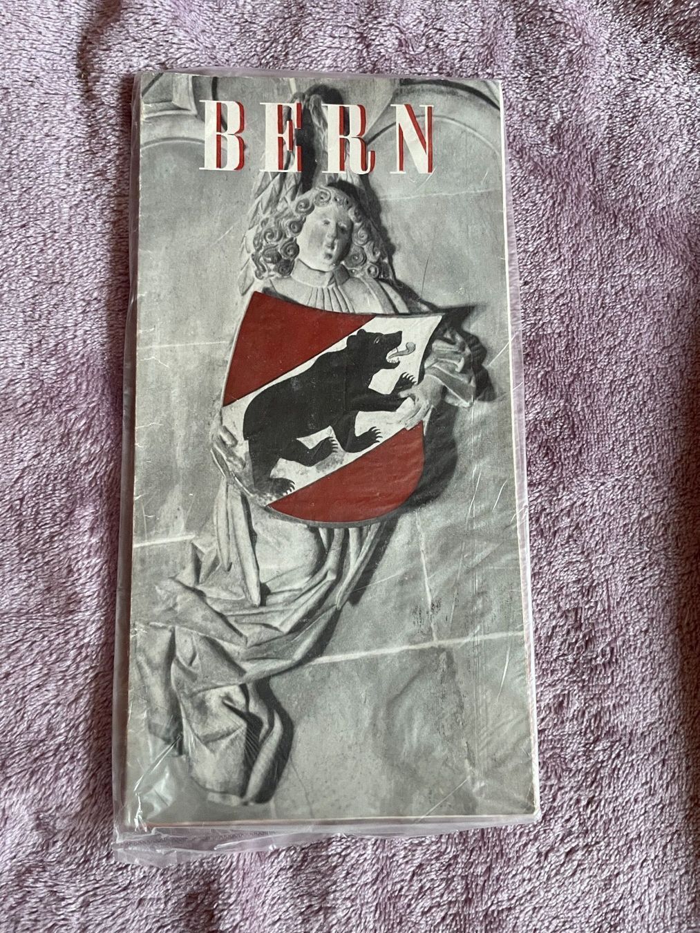 Documenti: Bern Flyer – Usato da Bern venduto da Dafi7